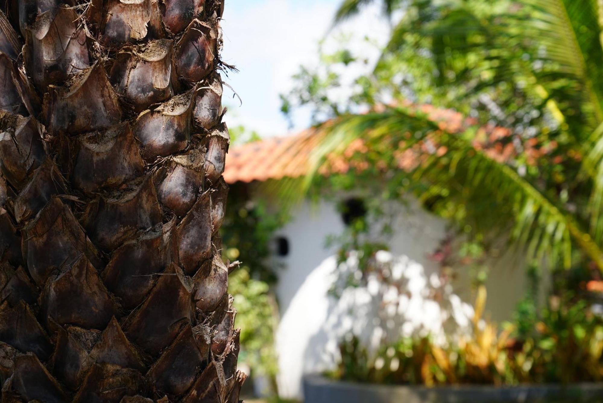 La Ferme De Georges Guest House Atins Luaran gambar