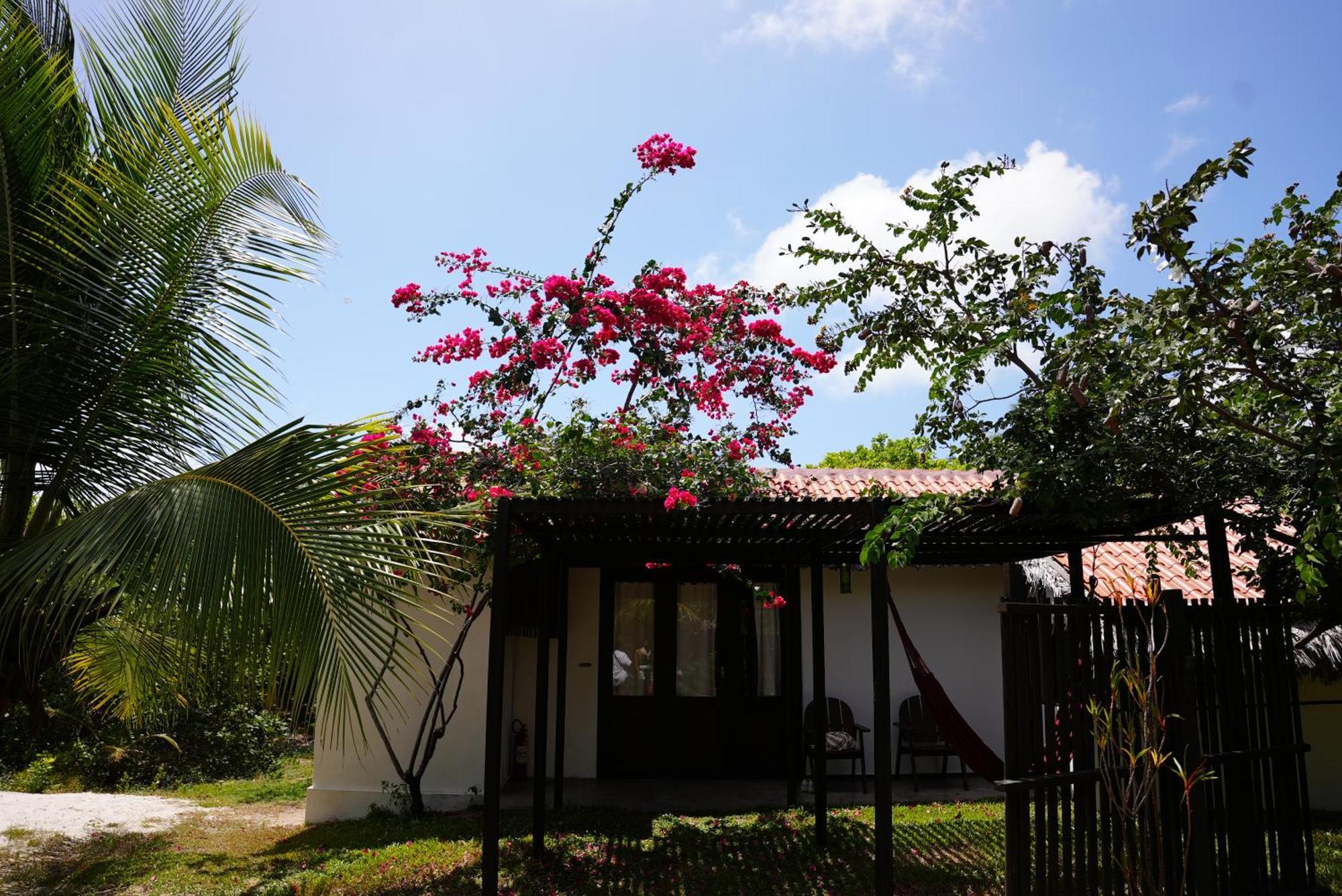 La Ferme De Georges Guest House Atins Luaran gambar